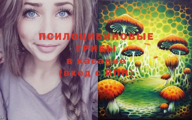 Псилоцибиновые грибы Psilocybine cubensis  блэк спрут зеркало  Игра 